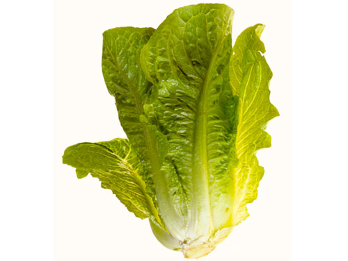 Libido booster food Romaine lettuce