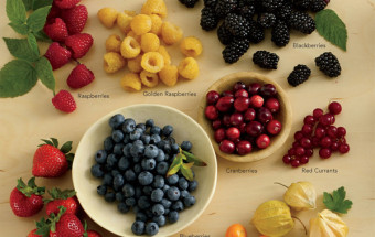 fruit-basics-BERRIES-blueberries-strawberries-blackberries-cranberries-gooseberries