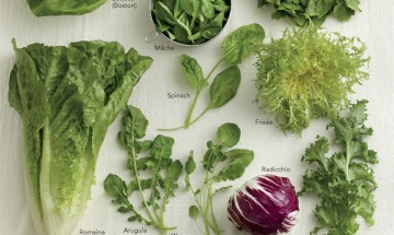 Salad-Basics-types